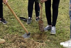 Αλλάζει η Πανεπιστημιούπολη στην Κομοτηνή: Θα φυτευτούν 1.000 δέντρα