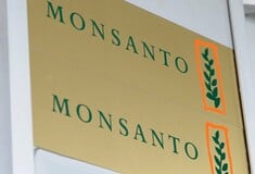 Η Monsanto παραδέχθηκε ότι χρησιμοποίησε παράνομο ζιζανιοκτόνο στη Χαβάη