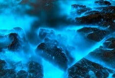 Αυστραλία: Βιο-φωτοβόλο πλαγκτόν φωτίζει τη θάλασσα τη νύχτα - Ένα εντυπωσιακό φαινόμενο