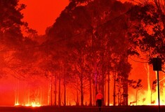Περιβαλλοντικός όλεθρος στην Αυστραλία: Οι φωτιές κατέστρεψαν το ένα πέμπτο των δασών