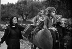  Κωνσταντίνος Μάνος - A Greek portfolio, 50 χρόνια μετά.