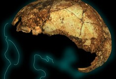Ανακαλύφθηκε το αρχαιότερο στον κόσμο κρανίο του Homo erectus