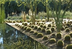 Sunnylands: Ένας φανταστικός κήπος για όσους αγαπούν τους κάκτους