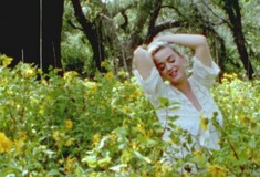 «Daisies»: Νέο τραγούδι και βίντεο κλιπ από την έγκυο Κέιτι Πέρι