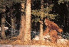 Τηλεοπτικό δίκτυο προσφέρει $10 εκ. για τον μεγαλοπόδαρο!