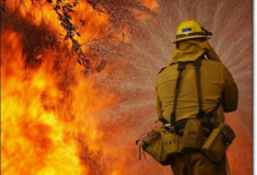Περίπου 90.000 στρέμματα δάσους έχουν αποτεφρωθεί στις μεγάλες πυρκαγιές