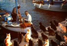 Η φωτογραφία της ημέρας