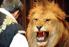 Απομακρύνθηκαν τα τελευταία λιοντάρια από τα βρετανικά τσίρκα
