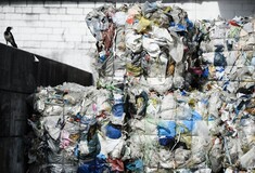 Η Γη δεν αντέχει άλλα πλαστικά: Μπουκάλια, σακούλες και συσκευασίες έχουν κατακλύσει τον πλανήτη