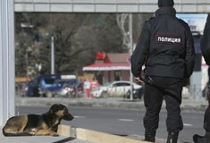 Mαζικές εκτελέσεις αδέσποτων σκύλων λίγο πριν τους αγώνες στο Σότσι