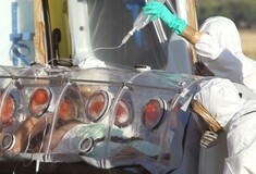 Εντολή να θανατωθεί και ο σκύλος της Ισπανίδας που νοσεί από Έμπολα