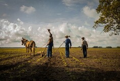 Mudbound: Δάκρυα στο Μισισιπή (Mudbound)