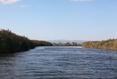 Σε κατάσταση συναγερμού ο Έβρος - Πάνω από το όριο επικινδυνότητας η στάθμη του νερού