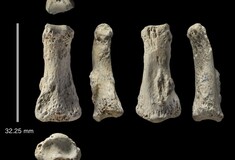 Ανακαλύφθηκε στη Σαουδική Αραβία απολίθωμα του Homo Sapiens ηλικίας 90.000 ετών