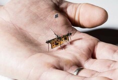 Πέταξε το Robofly, το πρώτο ασύρματο ρομποτικό έντομο