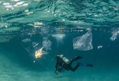 Oι ελληνικές θάλασσες «πνίγονται» από το πλαστικό - Η σοκαριστική, νέα έκθεση της WWF για τη Μεσόγειο