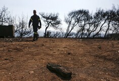 Πρόεδρος Πυροσβεστών: Εισηγηθήκαμε εκκένωση - Τόσκας και Αρχηγός του Σώματος έπρεπε να ζητούν συγγνώμη κάθε 5 λεπτά