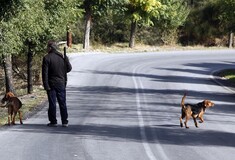 Νωρίτερα από κάθε άλλη φορά φέτος οι κυνηγετικές άδειες- Τι οδήγησε στη νέα υπουργική απόφαση