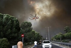 Το πόρισμα που «καίει» την Πυροσβεστική - Ζητούσαν αλλού ενισχύσεις ενώ οι φλόγες τύλιγαν το Μάτι