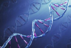 Γιατί οι επιστήμονες δεν έχουν συμφωνήσει ακόμη πόσα γονίδια έχει ο άνθρωπος