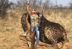 Οργή για την Αμερικανίδα που σκότωσε σπάνια, μαύρη καμηλοπάρδαλη και ποζάρει περήφανα δίπλα της