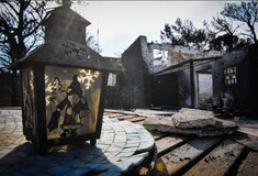 Πάνω από 3500 αυτοψίες στις πυρόπληκτες περιοχές