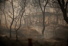 Το σπίτι του γείτονα και οι ζωές των άλλων