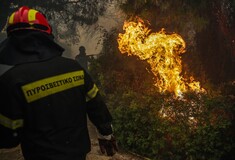 Παιδί πυροσβέστη το 6 μηνών βρέφος που πέθανε στις φωτιές- Βρέθηκε στη θάλασσα μαζί με τη μητέρα