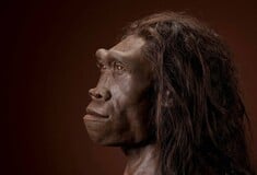 Οι αρχαίοι άνθρωποι εξαφανίστηκαν λόγω τεμπελιάς;