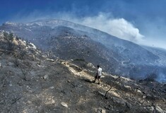 Για πλημμέλημα οι κατηγορούμενοι για τη φωτιά στον Υμηττό