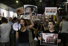 Βίγκαν εναντίον Μπέργκερ - Ακτιβιστές κάνουν έφοδο στο Burger Festival στην Αθήνα