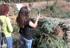 Η «σφαγή του δάσους» για τον χρυσό της Χαλκιδικής