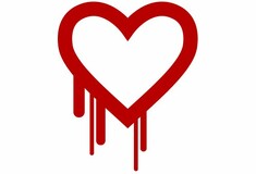 Εντοπίστηκε το "Heartbleed bug", η μεγαλύτερη απειλή του Διαδικτύου