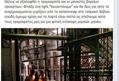 "Στέλεχος της Ν.Δ. προτείνει «Κουαντάναμο» για «αναρχοκομμούνια»