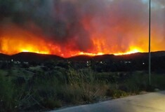 Μεγάλη πυρκαγιά στη Χίο