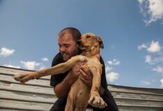 Φαντάσματα σώζουν τ' αδέσποτα του Ασπρόπυργου