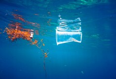Αποτσίγαρα, πλαστικά, καλαμάκια - Τι κρύβουν οι θάλασσες στα ελληνικά νησιά