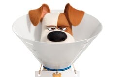 Πόσο καλά ξέρετε τα ζώα σας; Τρέιλερ για το «Secret Life of Pets 2»