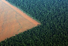 Συναγερμός για τον Αμαζόνιο - Σε ένα χρόνο εξαφανίστηκε δάσος πέντε φορές μεγαλύτερο από το Λονδίνο