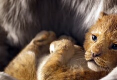 Η Disney έδωσε στη δημοσιότητα το τρέιλερ του νέου Lion King - ΒΙΝΤΕΟ