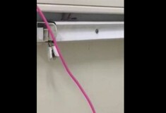 Η ΠΟΕΔΗΝ έδειξε στον Βερναρδάκη βίντεο με κατσαρίδες σε νοσοκομείο της Αττικής