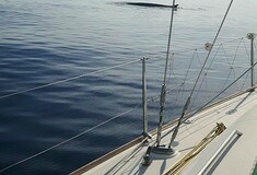 Μια μεγάλη φάλαινα εμφανίστηκε έξω από λιμάνι της Σύρου