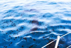 Το ΚΕΕΛΠΝΟ προειδοποιεί: Μην κολυμπάτε όπου υπάρχει μόλυνση από την πετρελαιοκηλίδα