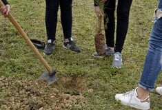 Δενδροφύτευση στη Νέα Παραλία Θεσσαλονίκης για να έχει «κάθε σχολείο το δέντρο του»