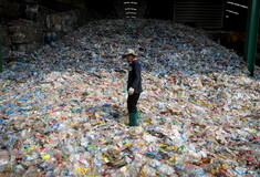 SOS από τη WWF: Κινδυνεύουμε από εκατομμύρια τόνους πλαστικών