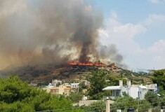 Πληροφορίες για προσαγωγή στο Λαγονήσι - Ηλικιωμένος φέρεται να παραδέχτηκε πως προκάλεσε τη φωτιά