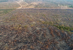 Η Βραζιλία βιώνει το μεγαλύτερο κύμα πυρκαγιών της τελευταίας πενταετίας