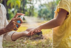 Ιός Δυτικού Νείλου: Προσοχή στα μέτρα ατομικής προστασίας εφιστά ο ΙΣΑ