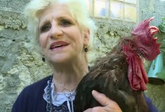 Γαλλία: Κόκορας «σύμβολο αγροτικής ζωής» αποτελεί αντικείμενο δικαστικής διαμάχης λόγω ηχορύπανσης