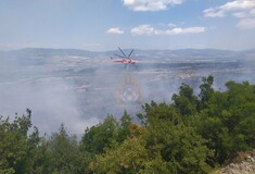 Τιθορέα: Ενισχύονται οι δυνάμεις της πυροσβεστικής - Εμπρησμό καταγγέλλουν οι κάτοικοι
